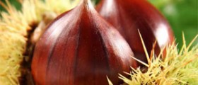 Olio alle Castagne · La n...